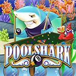 Pool Shark